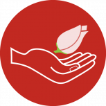 Hand-Icon~ (1) Hand-Icon~ (1)