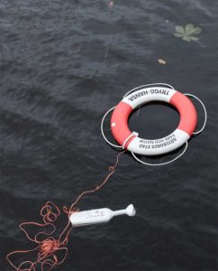 Photo of a lifebuoy and a small paddle in the water. This image is a link to the page on Safety Planning.